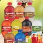 FLORETE BLUEBERRY 500ML CX C/12