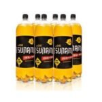 ENERGETICO TSUNAMI 2L PCT C/6